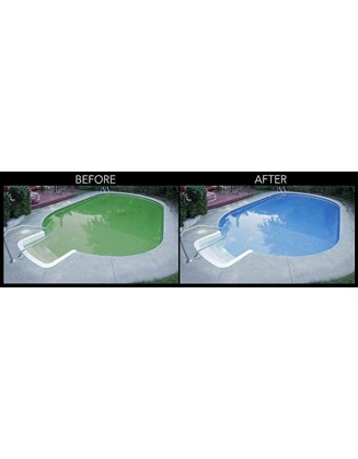 (6 Pack) Rx Clear Algaecide 60 Plus Prevents Algae Swimming Pool Chemical - 1 QT