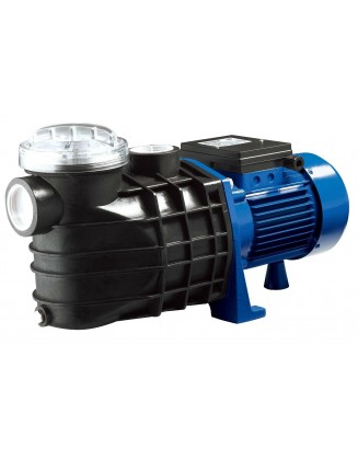 2 HP 230V Swimming Pool Pump With Strainer
