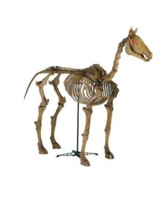 6 ft Life Size Standing Skeleton Horse Halloween Home Accents INHAND UPS GROUND