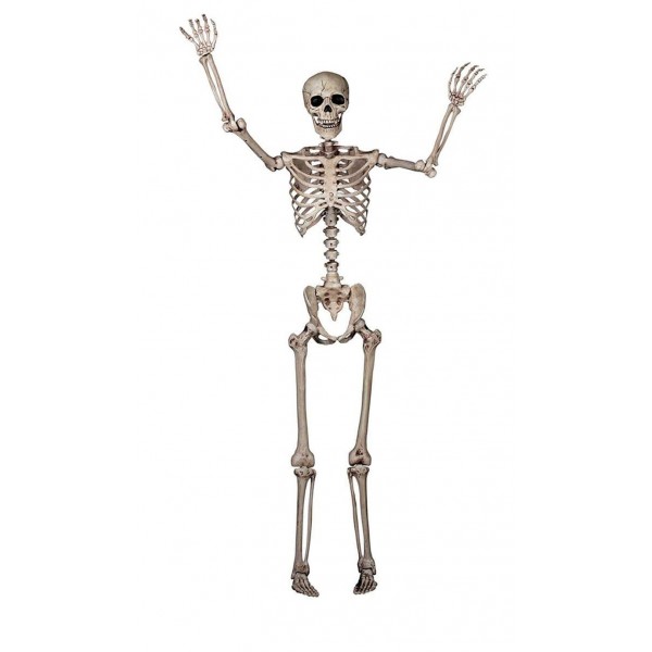 1 Size Skeleton Poseable Heavy-Injection Plastic Made Halloween Decoration NEW