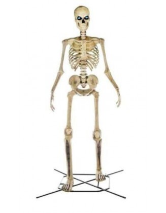 12 Foot Giant skeleton with LED eyes