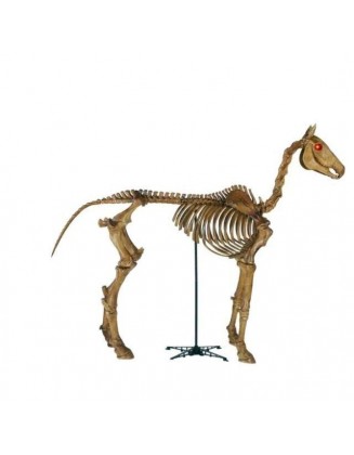 6 ft Life Size Standing Skeleton Horse Halloween Home Accents - IN HAND FAST