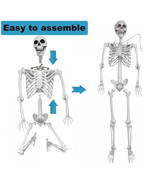 5.4ft/165cm Halloween Skeleton, Posable Life Size Human Skeletons, Full Body Realistic Bones with Movable Joints for Hallo...