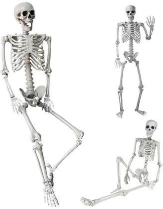 5.4Ft/165cm Halloween Skeleton Full Body Life Size Human Bones with Movable Joints for Indoor Outdoor Halloween Props Decorations