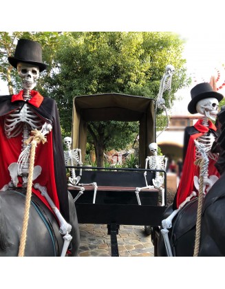 2Packs 5.4ft Halloween Human Skeletons Life Size Full Body Bones with Movable Joints for Halloween Props Spooky Party Decoration
