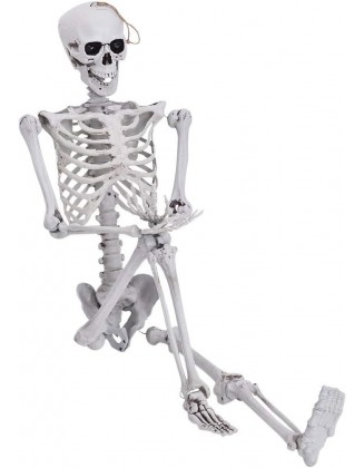 65 Inches Halloween Decoration Skeleton Full Body Halloween Skeleton Skeleton Decor Life Size Halloween Outdoor Posable Decorations (White, One Size)