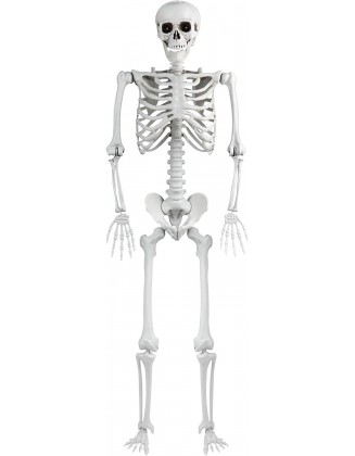 5.4ft/165cm Halloween Skeleton, Posable Life Size Human Skeletons Full Body Realistic Bones with Movable Joints for Halloween Props Spooky Party Decoration