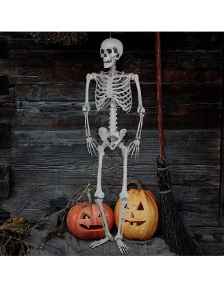 5.4ft/165cm Full Size Halloween Skeleton Realistic  Human Skeletons with Movable Joins, for Halloween Decorations House and Theme Party (White, 545)