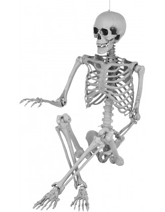 65 Inches Halloween Decoration Skeleton Skeleton Decor Life Size Halloween Outdoor Posable Decorations Full Body Halloween Skeleton (White, 545)
