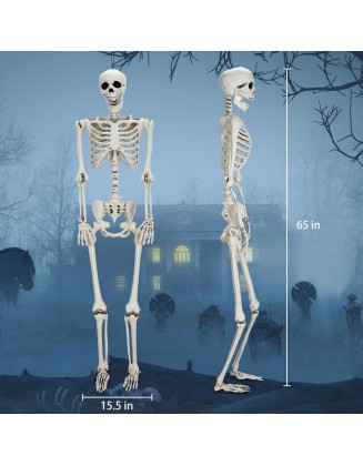 5.4Ft Life Size Skeleton Halloween Decor, Full Body Realistic Human Bones with Posable Joints, Halloween Decoration Outdoor & Indoor, Scary Halloween Party Décor, Yard Lawn Haunted House Prop