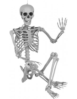 5.4ft/165cm Halloween Skeleton Halloween Human Skeletons Full Body Bones with Movable Joints for Halloween Props Party Decoration (White, 545)