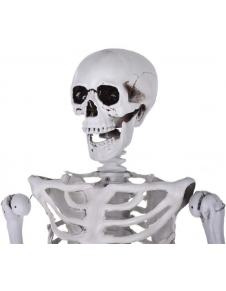 5.4Ft Halloween Skeleton Life Size Skeleton Full Body Realistic Human Bones with Posable Joints for Halloween Pose Skeleton Prop Decoration (White, One Size)