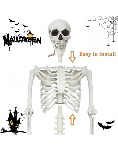 5.4Ft Halloween Skeleton, Halloween Life Size Skeleton Full Body Human Skeleton Halloween Decoration, Plastic Skeletons with Movable Joints for Graveyard Prop, Indoor Outdoor Haunted House Party Decor