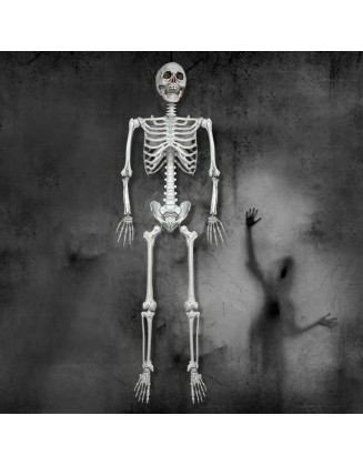 5.4Ft/165cm Halloween Skeleton Full Body Life Size Human Bones with Movable Joints for Indoor Outdoor Halloween Props Decorations