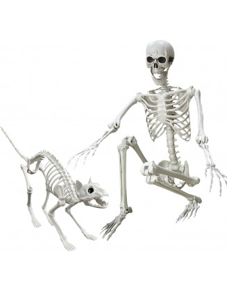 5.4 Ft Halloween Posable Skeletons Realistic and Cat Skeleton Bones Life Size Human Skeletons with Movable Joints for Halloween Decoration