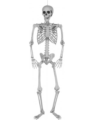 5.4 ft Halloween Skeleton, Outdoor Halloween Decorations Realistic Skeleton Life Size Full Body Human Bones with Posable Joints for Indoor Outdoor Halloween Props Party Decor