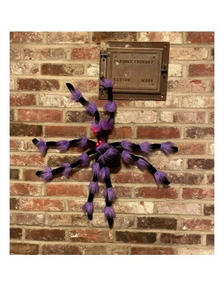 24 in. Indoor Halloween Black Spider Decoration with Purple Joints and Light Up Eyes